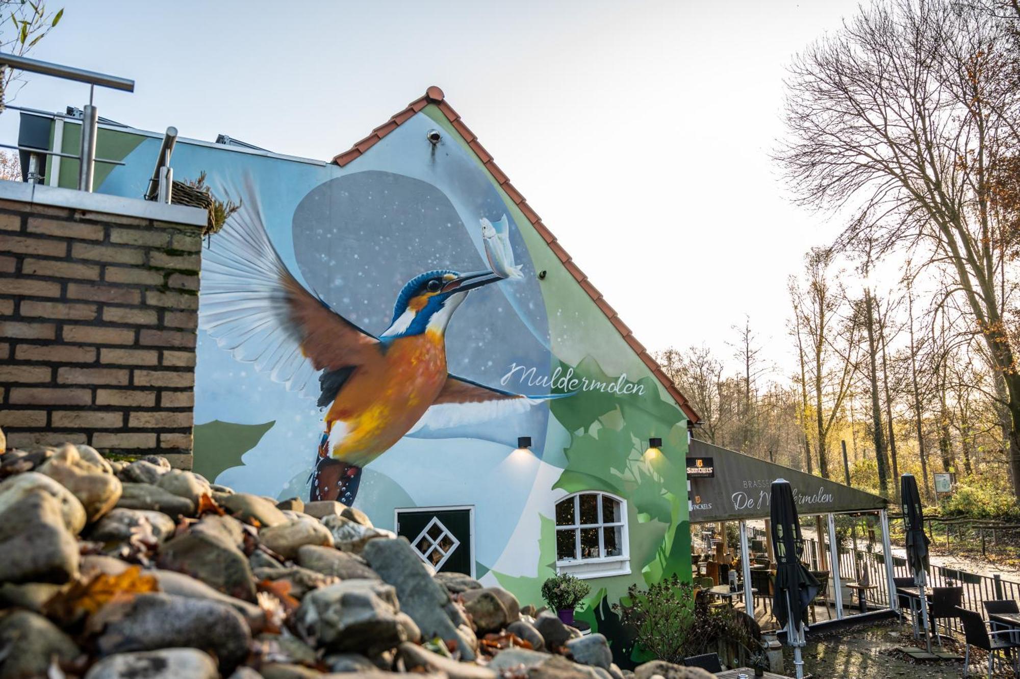 B&B De Muldermolen Schinnen Екстер'єр фото